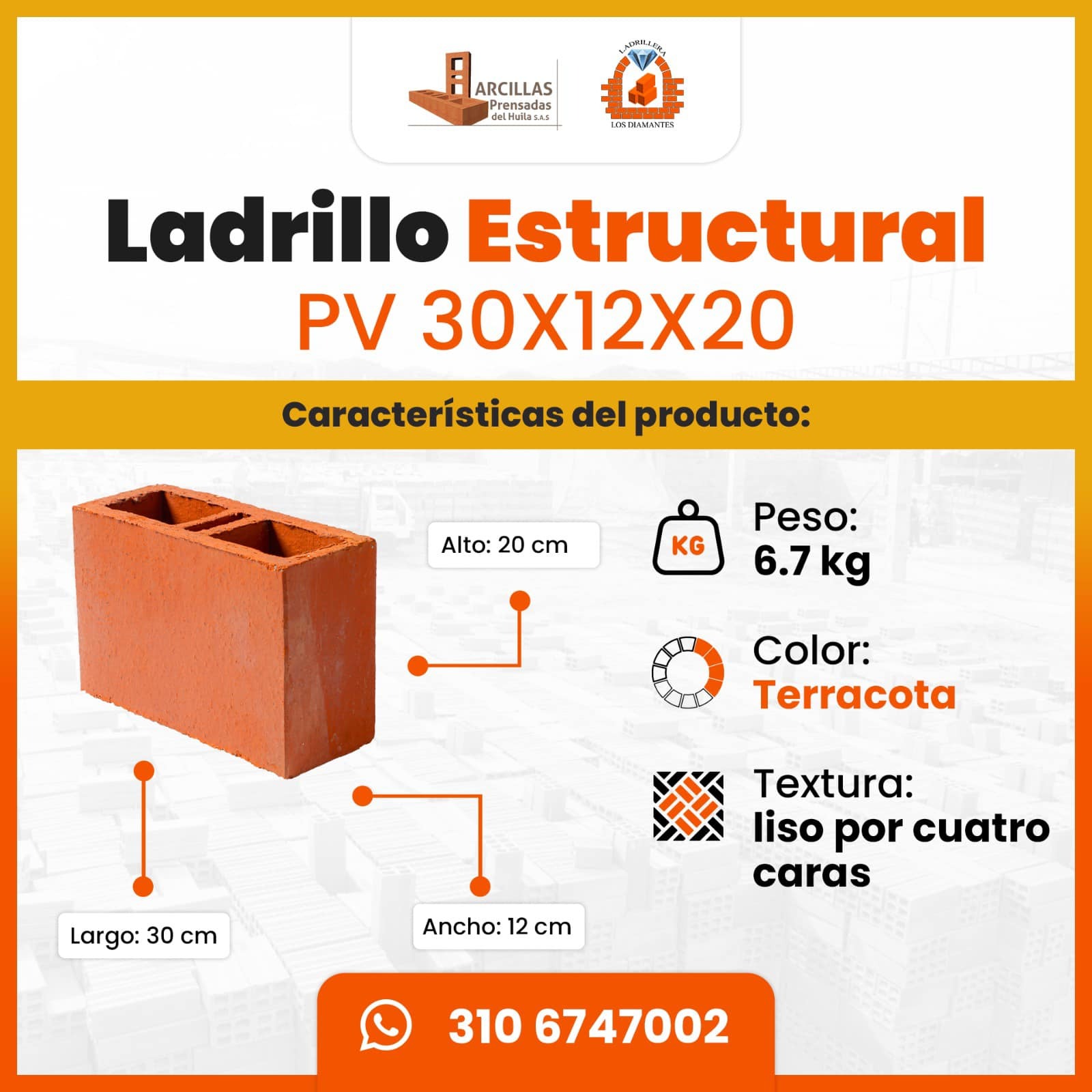 Ladrillo Estructural PV 30x12x20 — medidas técnicas