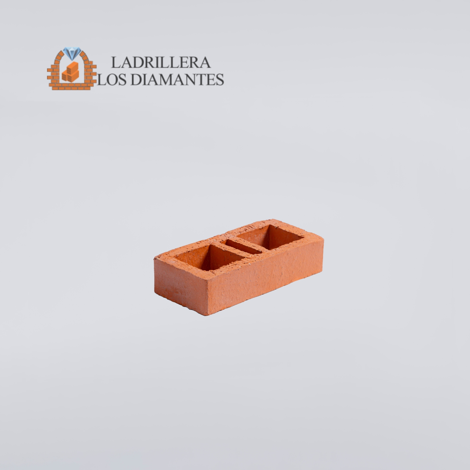 Ladrillo Estructural PV 24x12x6
